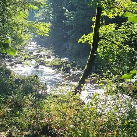 Sonnwies - Erholung Pur Im Bayerischen Wald Perlesreut