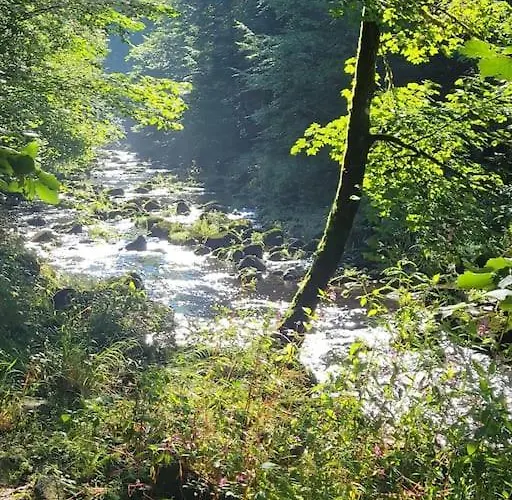 Sonnwies - Erholung Pur Im Bayerischen Wald Perlesreut